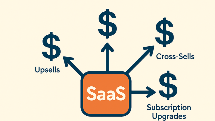 Illustration of Expansion revenue