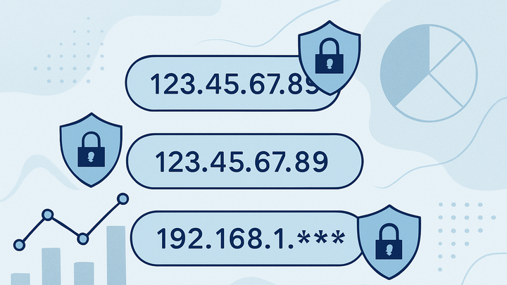 Illustration of Ip anonymization
